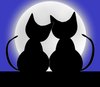 Valentine Cats 1