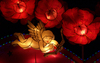 Valentine Lights