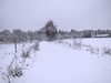 idyllic winter walkway