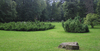 Castle gardens