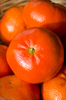 Tangerines