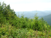 Mountain views