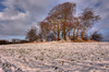 Bronze Age burial mounds at Ry