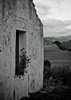 old house