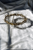 Crown of thorns 2