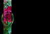 Floral Belt Border 1