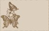 Bronze Butterfly Border