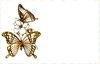 Golden Butterfly Border