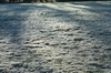 Frosty winter grass in sunshin
