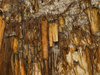 stalactite 6