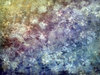 Floral Grunge Background 2