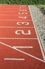 Run the race
