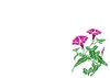 Pretty Floral Corner 1