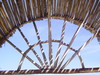 bamboo Window