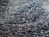 Foam draws