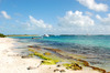 Blue Sea 10
