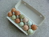 Dozen Eggs