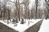 Kiseleff Park