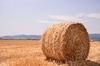 Round Hay Bale