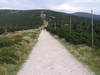 Mountain trail