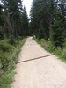 Mountain trail