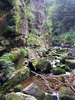 Wild mountain stream