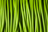 green cables