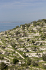 Hillside terraces