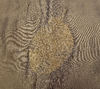 fabric autumn leaf1