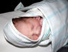 wrapped arrival1