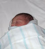 wrapped arrival3