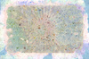 Grunge Colours