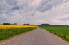 Country road - HDR
