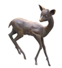 Roe