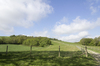 Spring landscape