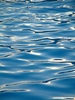 Water Waves