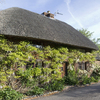 Thatched cottage