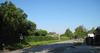 A street with the hedge