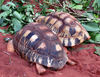 slow snack time1