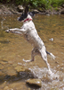 Lift Off!