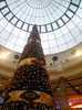 Christmastree in Oberhausen