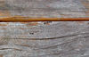 rough timber1