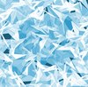 Shards 1