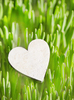Wooden heart