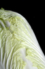 Chinese Bok Choy