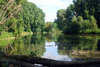 old bayou