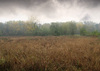 field in autumn