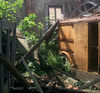 abandoned wooden vehicle