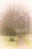 Misty Mornings