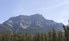 Forest mountains